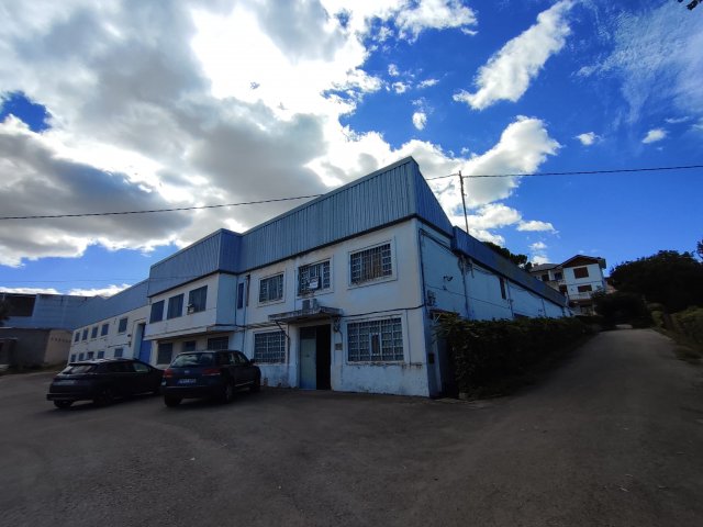 Foto 15